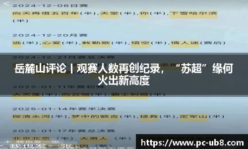 岳麓山评论丨观赛人数再创纪录，“苏超”缘何火出新高度
